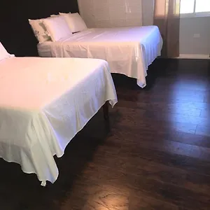 Apartment Abacus Jamaica The Zana 